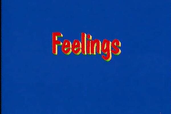 Feelings