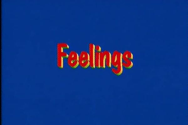 Feelings