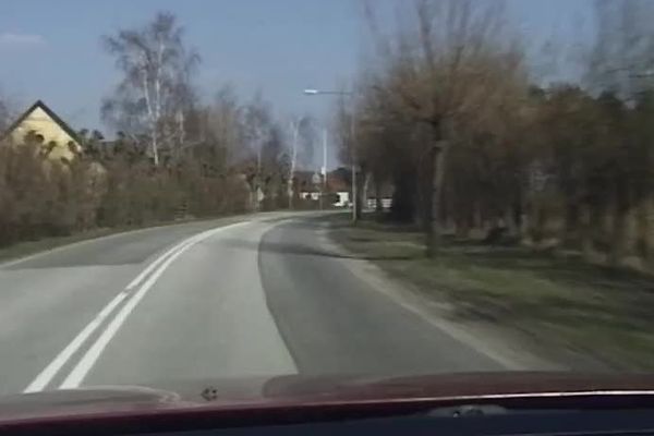 Skandinavisk Privat Film Vol 1
